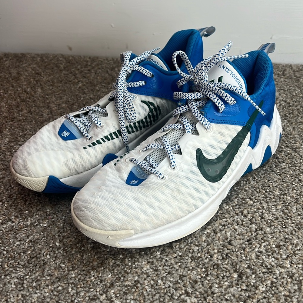 Nike Giannis basketball shoes ❤️SOLD❤️